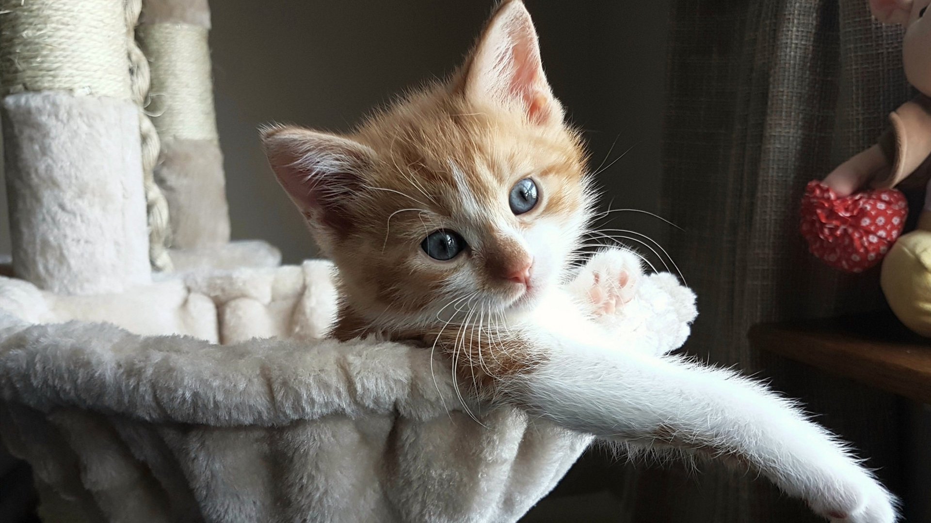 德甲球队数据驱动的快速反击战术优化案例，足球快速反击战术要点