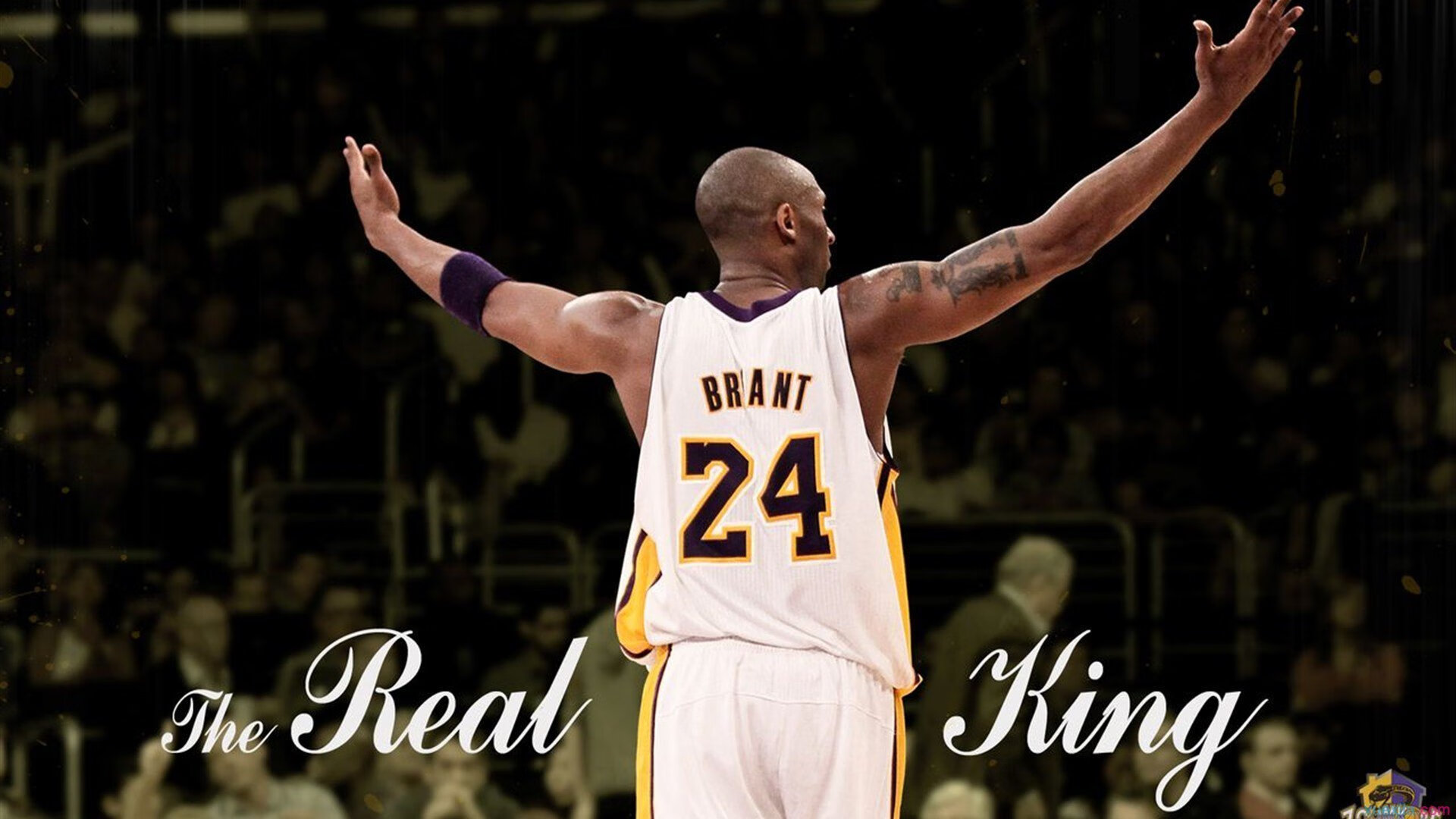 凯恩·瑞安：新西兰橄榄球的全能先锋，未来之星